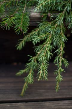121614-2.jpg
