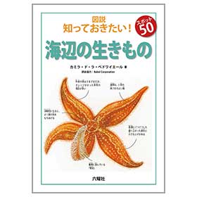 海辺の生きもの【図説:知っておきたい! スポット50】