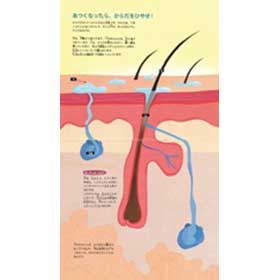 皮ふの下をのぞいてみれば…【絵本図鑑:その下はどうなっているの?】