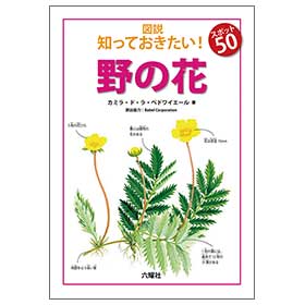 野の花 【図説:知っておきたい! スポット50】